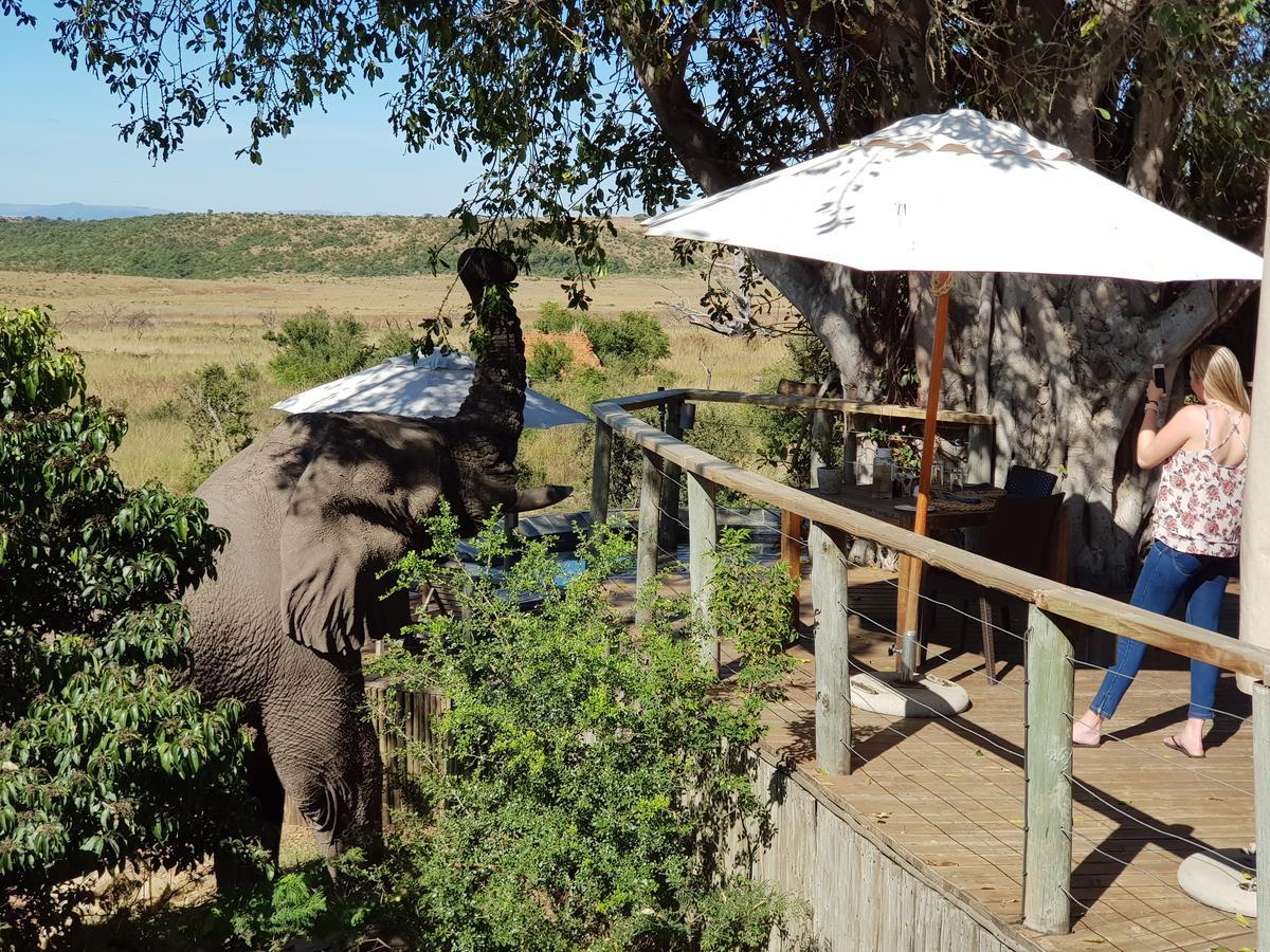 Villa Nambiti Plains Ladysmith Exterior foto